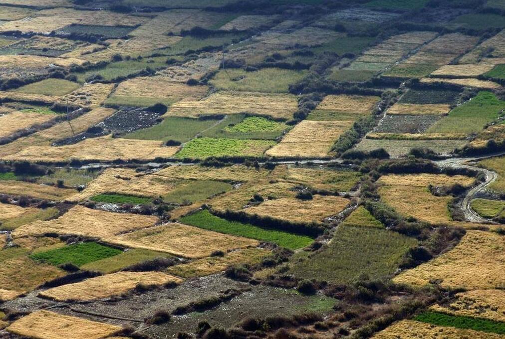 尋烏縣晨光鎮及南橋鎮村土地開發項目